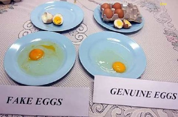 Внешняя схожесть натуральных и поддельных яиц. Слева – искусственные, справа - настоящие